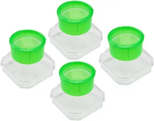 BESPORTBLE 4pcs Science Observation Box with Magnifier Enhance Outdoor Exploration Curiosity Nature for Educational Activities and Experiments