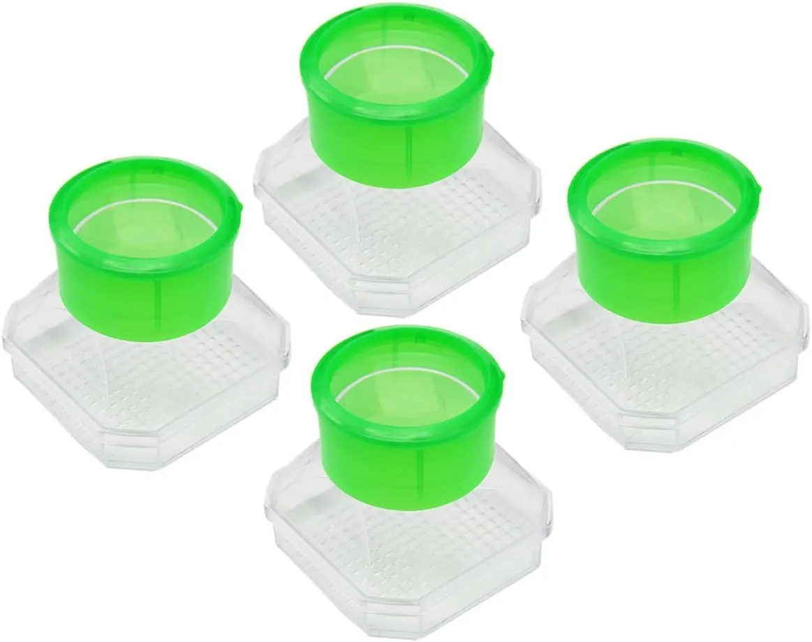 BESPORTBLE 4pcs Science Observation Box with Magnifier Enhance Outdoor Exploration Curiosity Nature for Educational Activities and Experiments