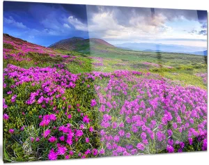 Designart Rhododendron Flowers in Mountains Landscape Photo Metal Wall Art, 20x12, Purple