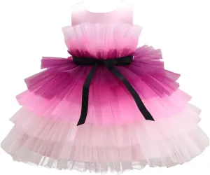 Flower Baby Girl Lace Dress Toddler Tulle Sleeveless Bow Princess Party Wedding Pageant Bridesmaid (0-6T)