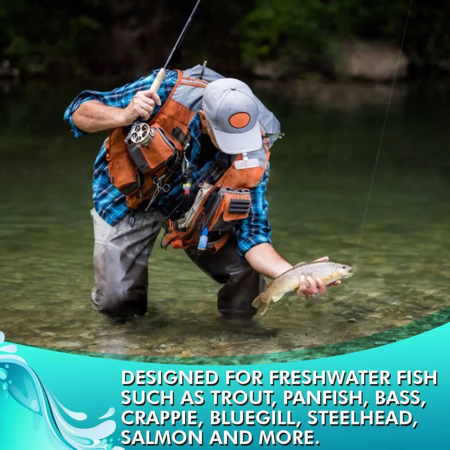 Fly Fishing Flies | Bead Head and Regular Stonefly Nymphs | 12pc Wet Lures | Trout and Bass Flies | Fly Fishing Assortment