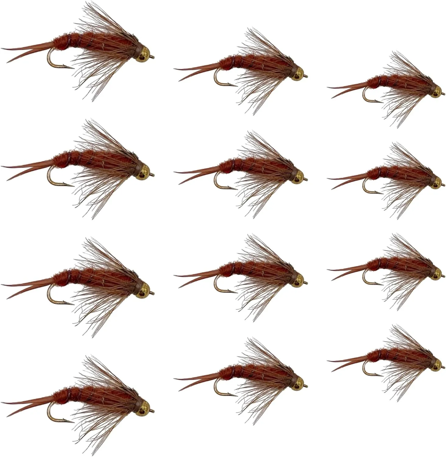 Fly Fishing Flies | Bead Head and Regular Stonefly Nymphs | 12pc Wet Lures | Trout and Bass Flies | Fly Fishing Assortment