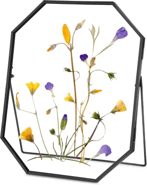 Glass Pressed Flower Frame Handmade, Metal Floating Picture Frame, Double Glass for Tabletop Display, Unique Brass Octagon, Black, 8x10 Inches (FRAME ONLY)