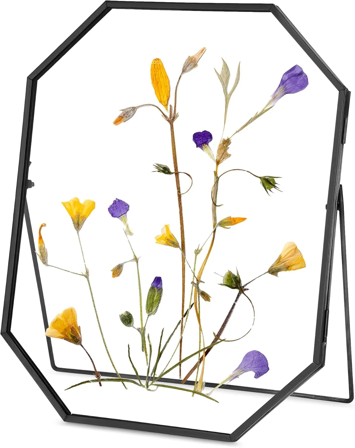 Glass Pressed Flower Frame Handmade, Metal Floating Picture Frame, Double Glass for Tabletop Display, Unique Brass Octagon, Black, 8x10 Inches (FRAME ONLY)
