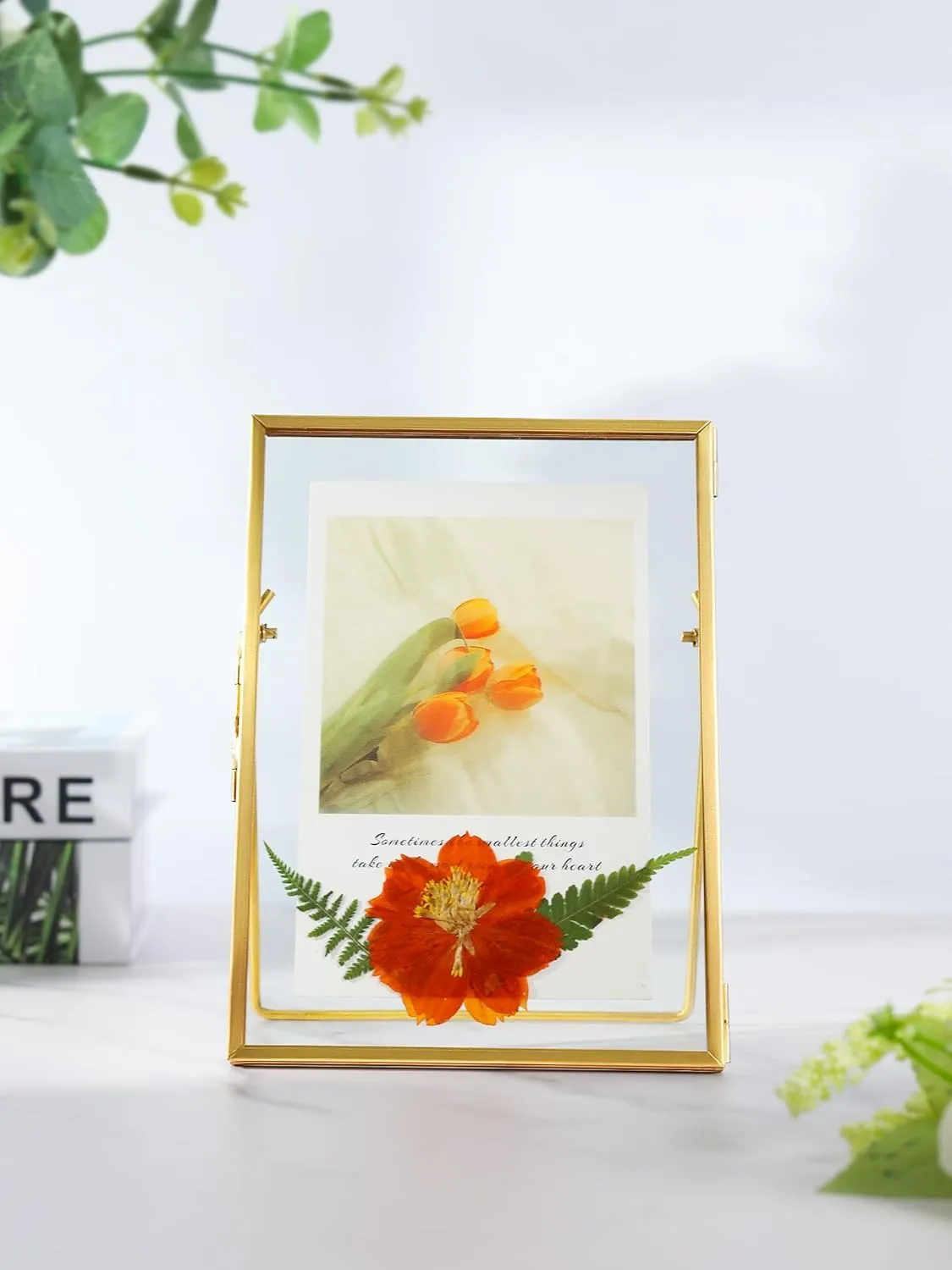 Handmade Glass Pressed Flower Frame, Floating Tabletop Artwork & Photo Frame for Pressed Flowers, Brass Desk Picture Frame for Home Office Plant Specimen