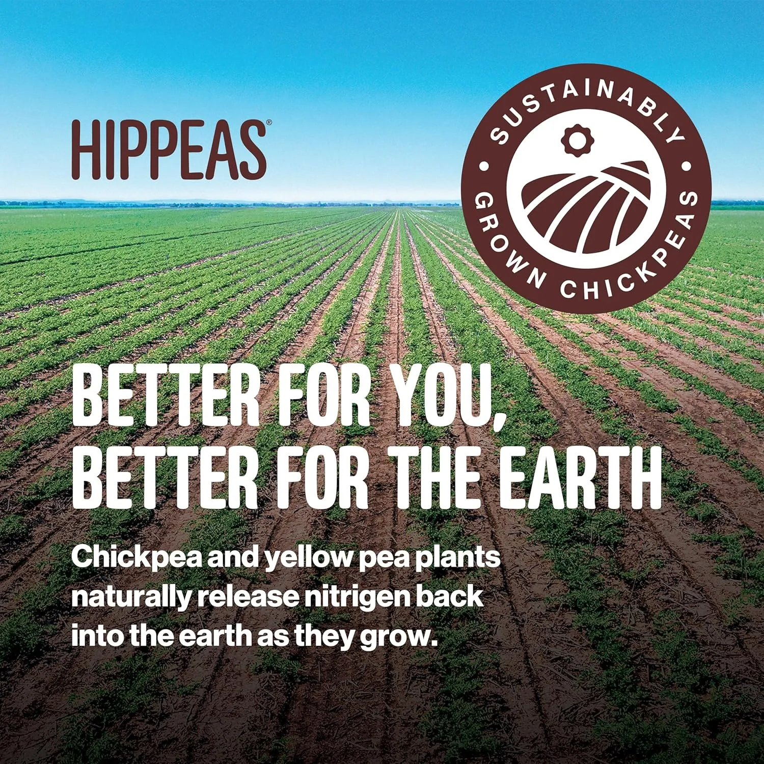Hippeas Chickpea Puffs, Vegan White Cheddar, 0.8 Ounce (Pack of 30), 3g Protein, 2g Fiber, Vegan, Gluten-Free, Crunchy, Plant Protein Snacks