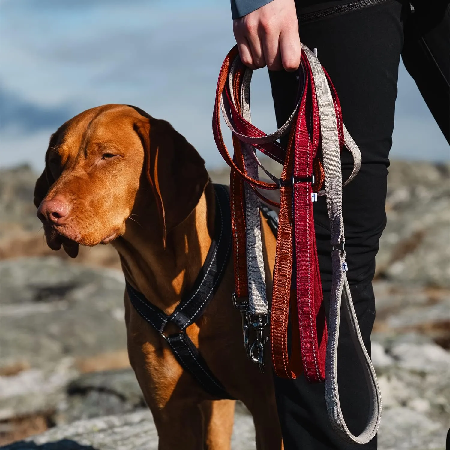 Hurtta - Dog Leash Reflective - Black 180 cm - 1 Piece