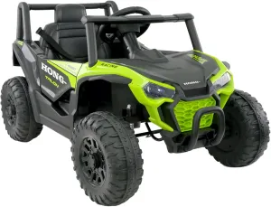 Kids 12V Ride on 2WD UTV, Battery Powered Electric Car, Safety Belt, Forward & Reverse Mode, High/Low Speed, Bumper & Anti-Slip Wheels for Boys and Girls (Green)