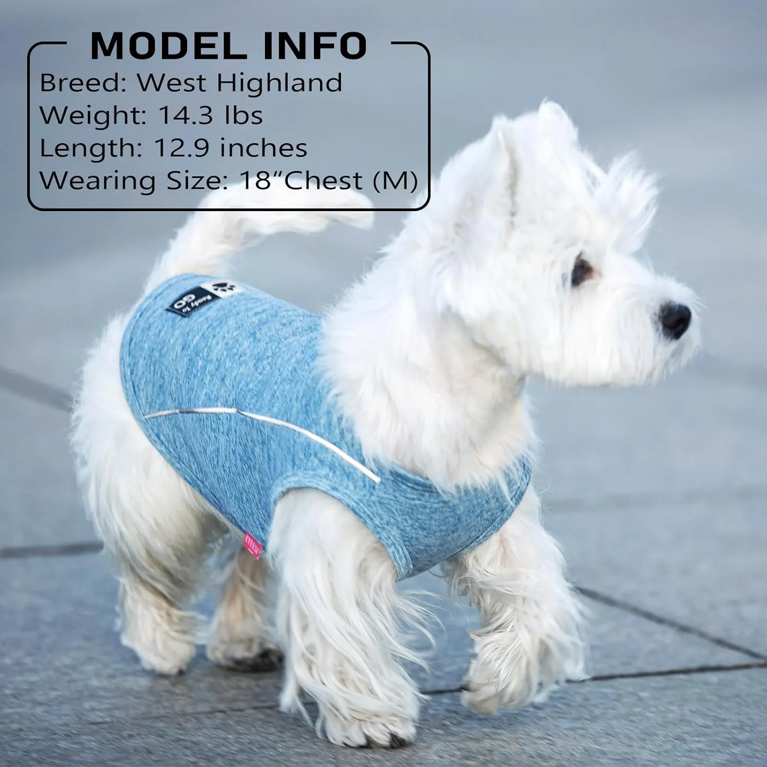 KYEESE 2Pack Dog Shirt Quick Dry Breathable Dog Shirt for Small Dogs with Reflective Stripe Athletic Tank Top Puppy Clothes,Grey Blue,M
