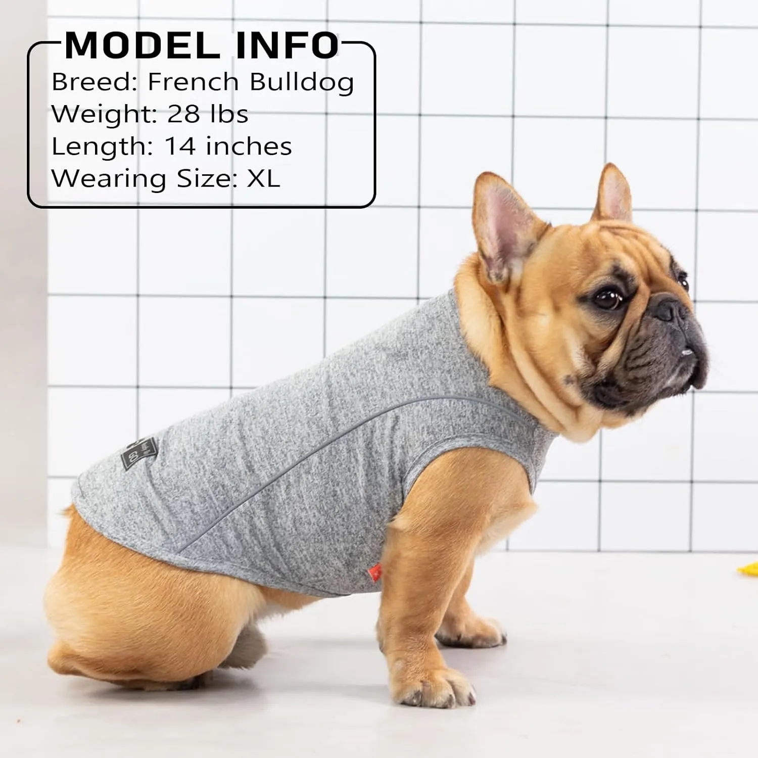 KYEESE 2Pack Dog Shirt Quick Dry Breathable Dog Shirt for Small Dogs with Reflective Stripe Athletic Tank Top Puppy Clothes,Grey Blue,M