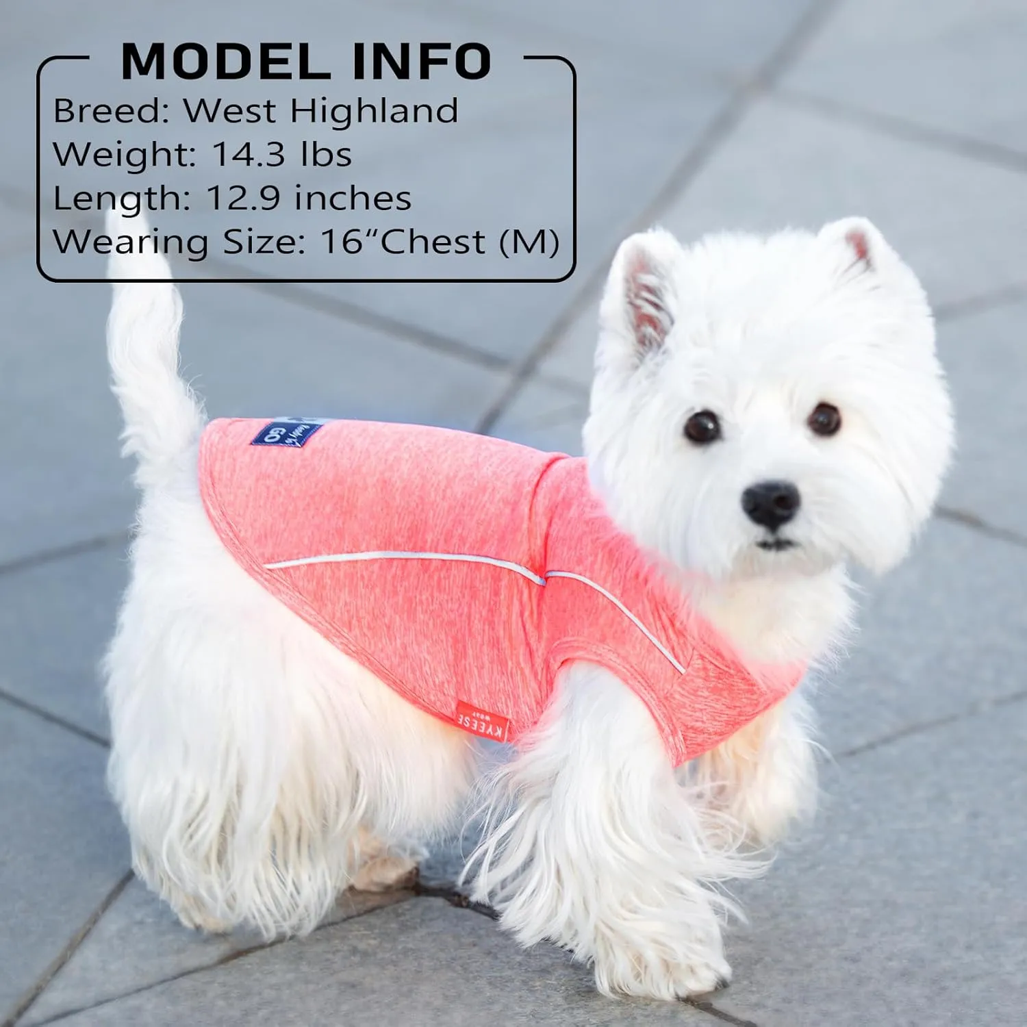 KYEESE 2Pack Dog Shirt Quick Dry Breathable Dog Shirt for Small Dogs with Reflective Stripe Athletic Tank Top Puppy Clothes,Grey Blue,M