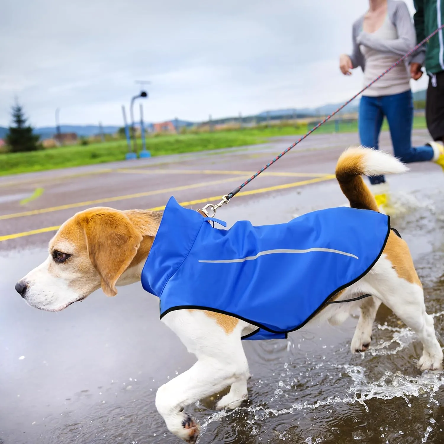 Mile High Life Dog Raincoat, Adjustable Waterproof Reflective Rain Jacket for Small Medium Large Dogs, Lightweight Breathable Pet Rain Coat with Leash Hole(Blue,XXS Chest 16-19")