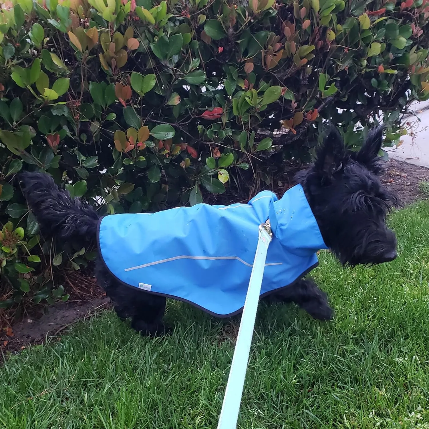 Mile High Life Dog Raincoat, Adjustable Waterproof Reflective Rain Jacket for Small Medium Large Dogs, Lightweight Breathable Pet Rain Coat with Leash Hole(Blue,XXS Chest 16-19")