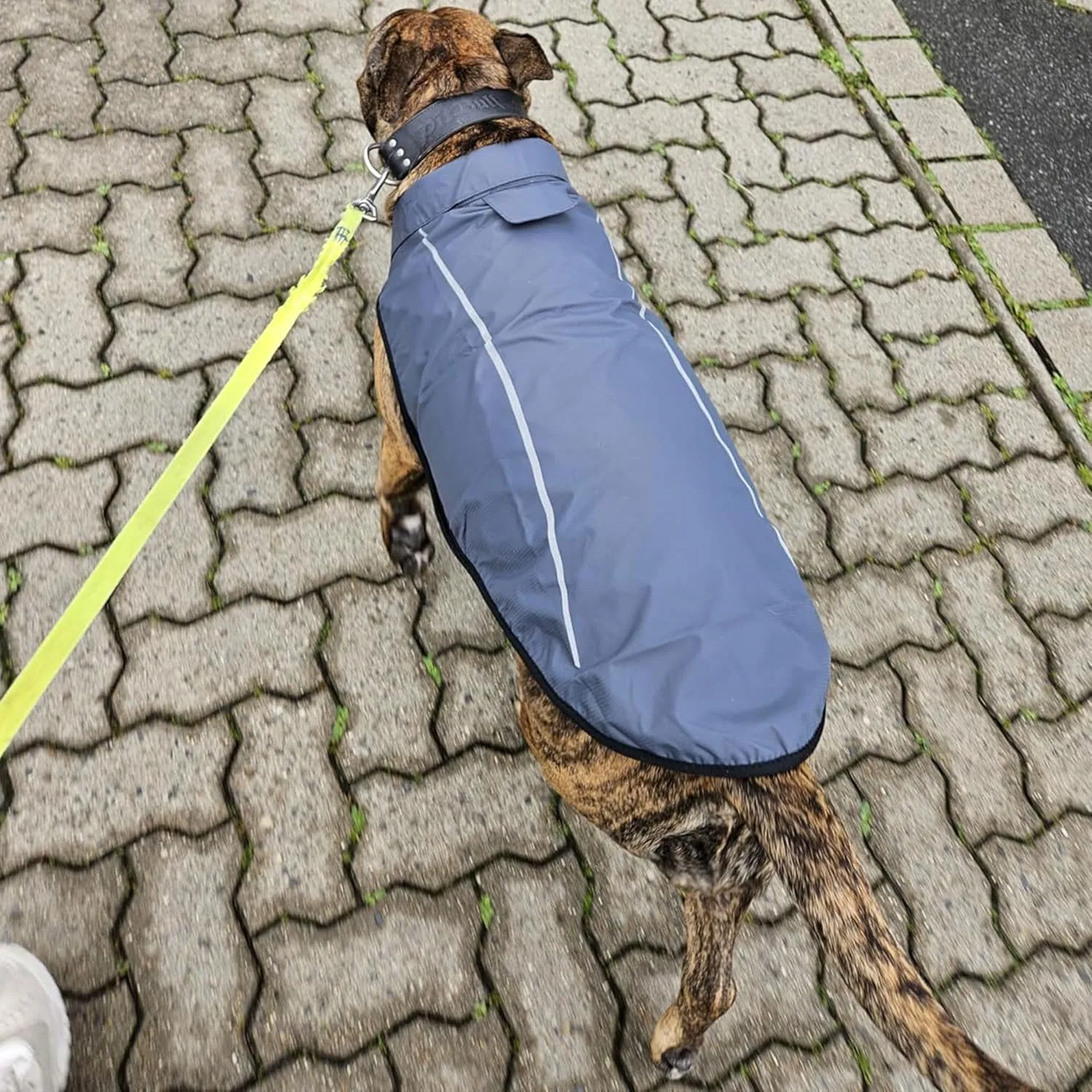 Mile High Life Dog Raincoat, Adjustable Waterproof Reflective Rain Jacket for Small Medium Large Dogs, Lightweight Breathable Pet Rain Coat with Leash Hole(Dark Gray,XXS Chest 16-19")
