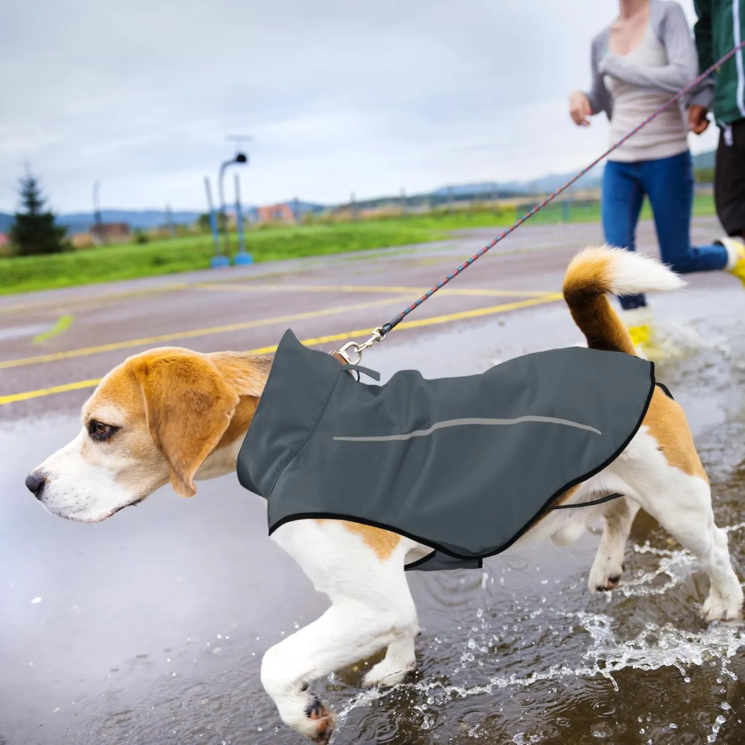 Mile High Life Dog Raincoat, Adjustable Waterproof Reflective Rain Jacket for Small Medium Large Dogs, Lightweight Breathable Pet Rain Coat with Leash Hole(Dark Gray,XXS Chest 16-19")