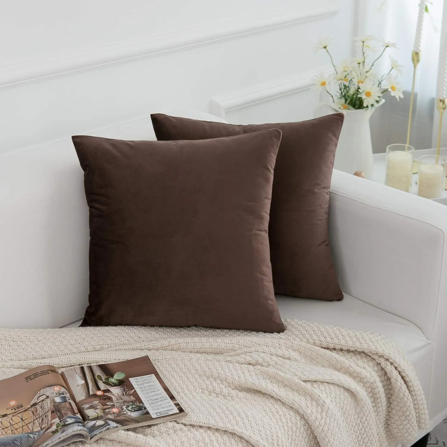 RainRoad Brown Throw Pillows Covers Set of 2 Soft Velvet Decorative Pillow Covers 20x20 Inch for Couch Bed(Brown-Velvet, 20" x 20"(Pack of 2))
