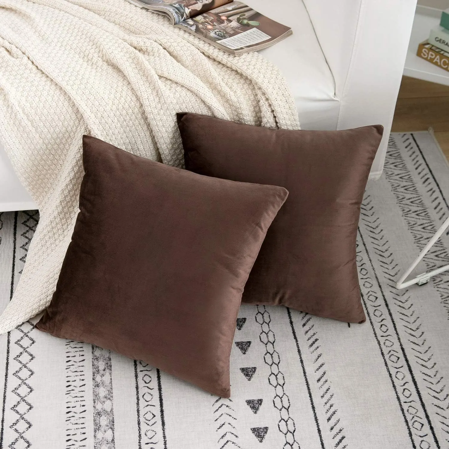 RainRoad Brown Throw Pillows Covers Set of 2 Soft Velvet Decorative Pillow Covers 20x20 Inch for Couch Bed(Brown-Velvet, 20" x 20"(Pack of 2))