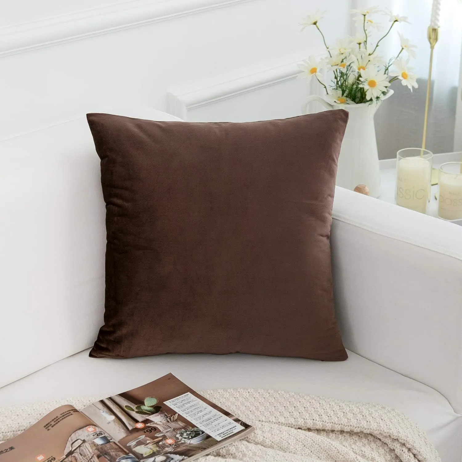 RainRoad Brown Throw Pillows Covers Set of 2 Soft Velvet Decorative Pillow Covers 20x20 Inch for Couch Bed(Brown-Velvet, 20" x 20"(Pack of 2))