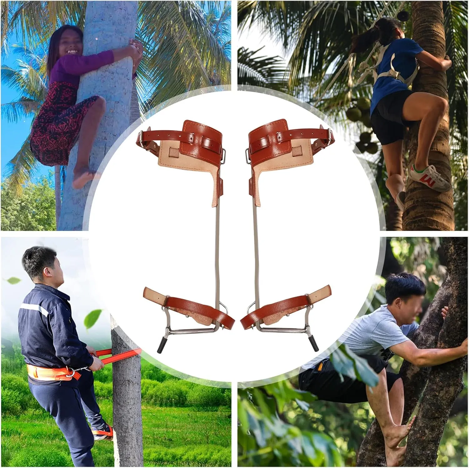 Tree Climbing Spikes, Tree Climbing Gear with Adjustable Climbing Belt and Upgrade Rope,Tree Climbing Kit for Sports
