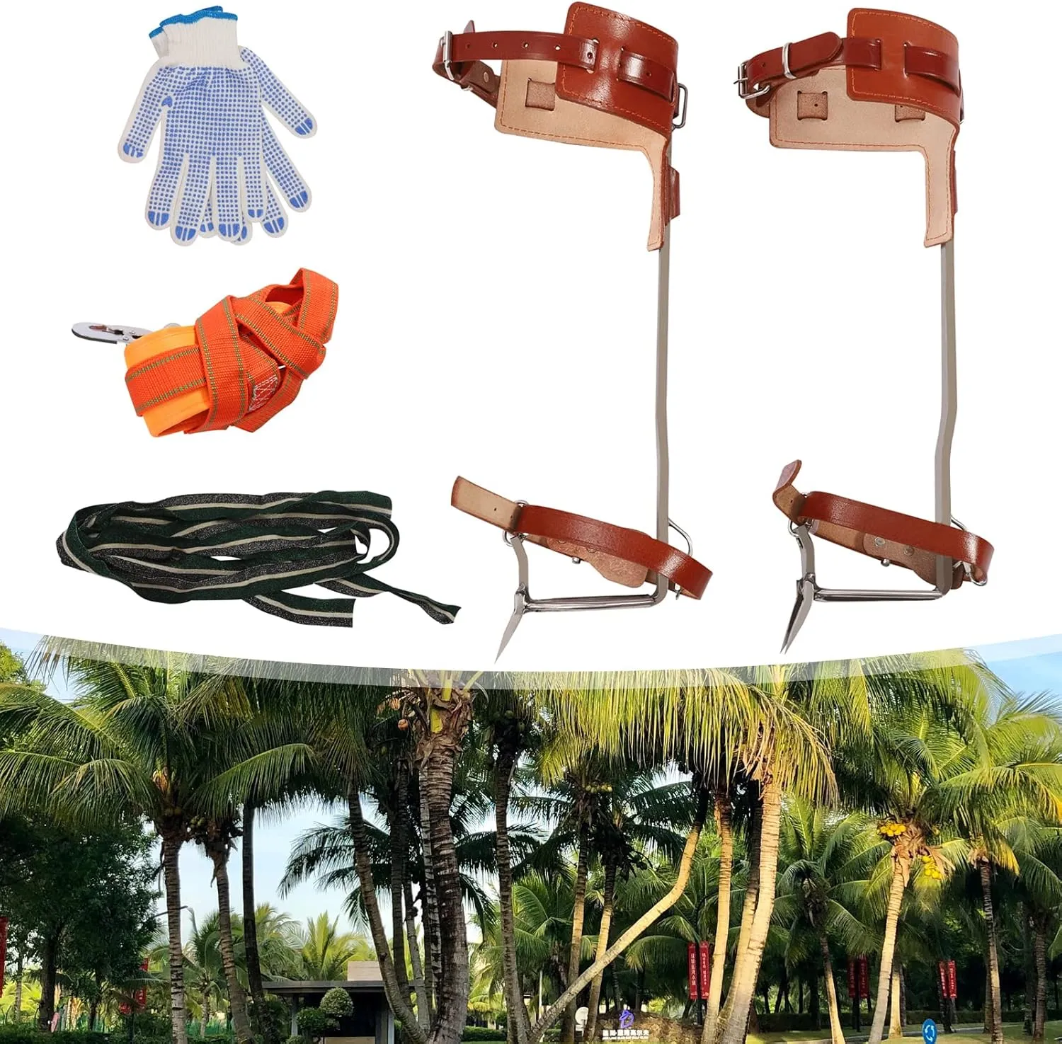 Tree Climbing Spikes, Tree Climbing Gear with Adjustable Climbing Belt and Upgrade Rope,Tree Climbing Kit for Sports