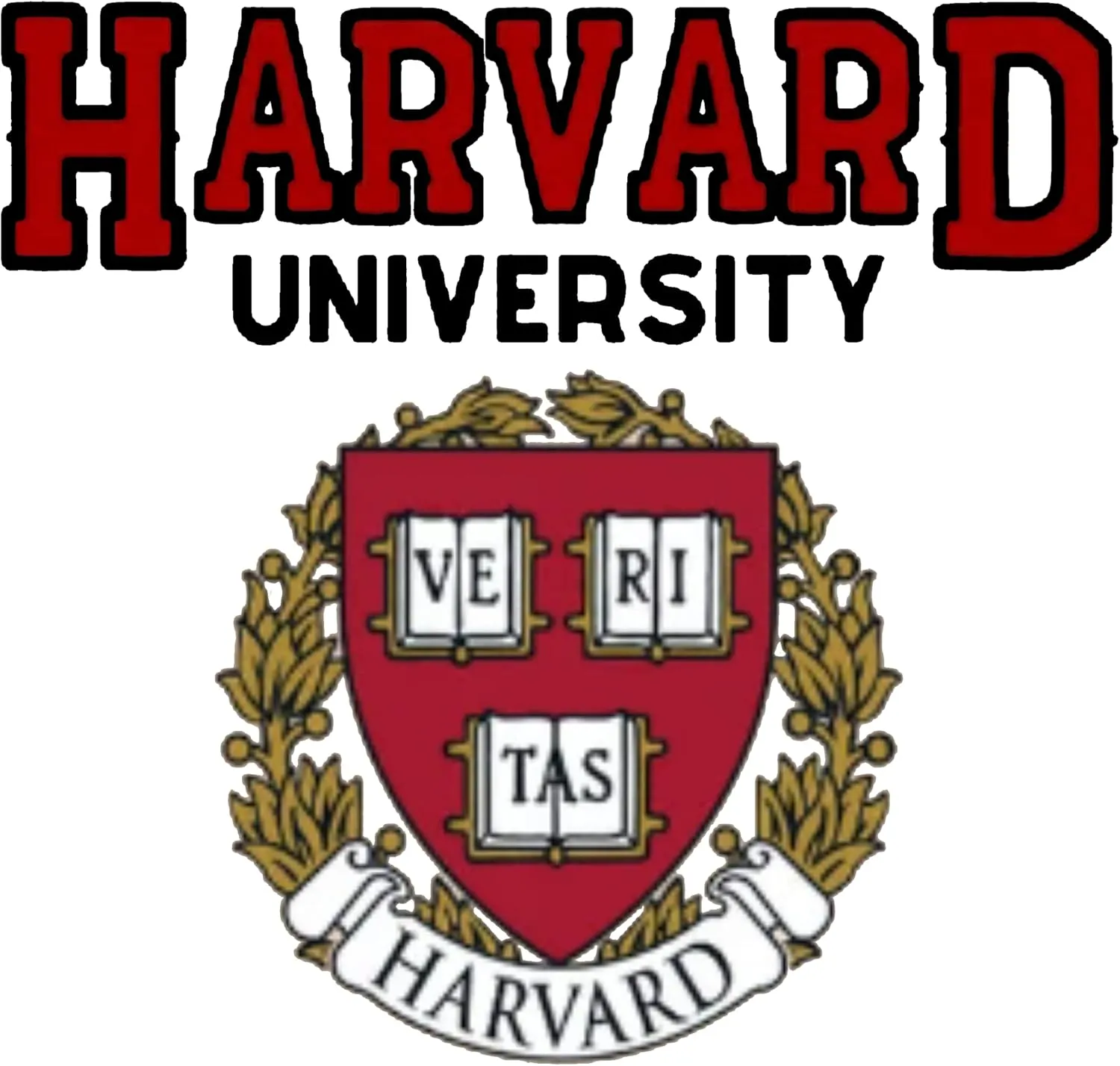 World And Space Harvard University Kids Hoodies Sweatshirt, Princess Harvard Hoodie, Long Sleeve
